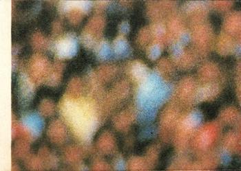 1980 Scanlens VFL #86 Rod Ashman Back
